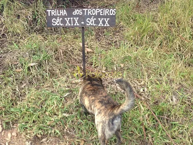 Chácara com 726000m², à venda, no bairro Bairro dos Macacos em Silveiras