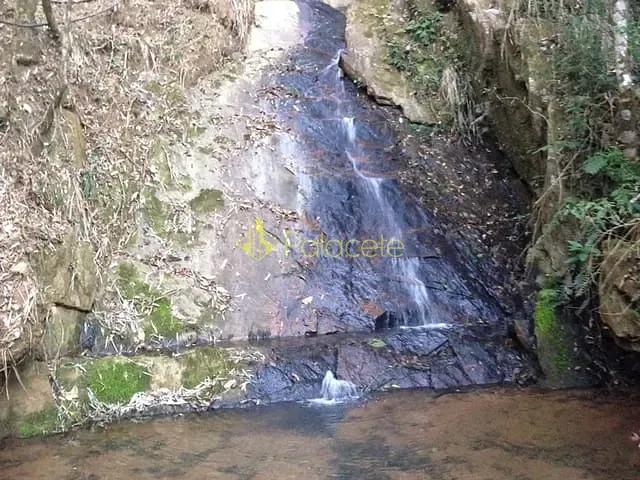 Chácara com 726000m², à venda, no bairro Bairro dos Macacos em Silveiras