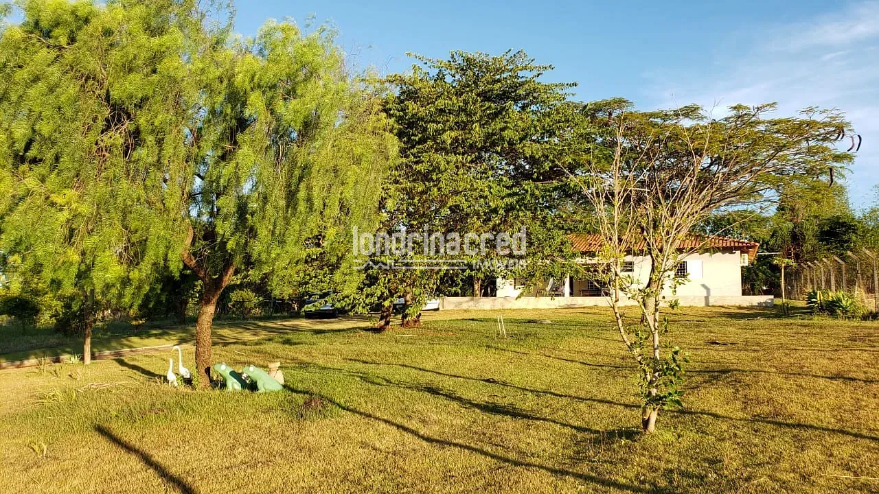Sítio, 1 quarto, 2500 m² - Foto 19