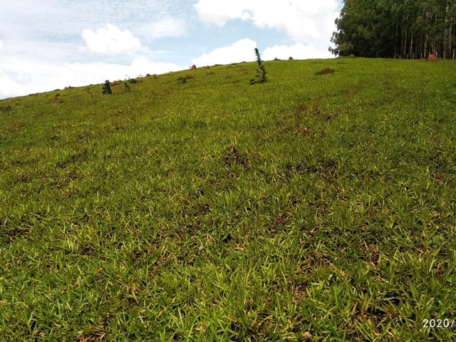 Chácara com 55189m², à venda, no bairro Registro em Taubaté