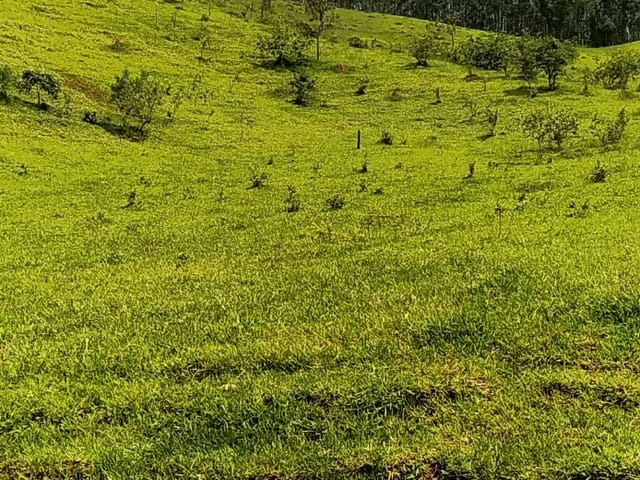 Chácara com 55189m², à venda, no bairro Registro em Taubaté