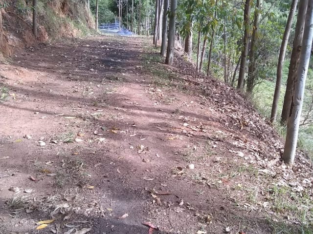 Chácara com 135000m², à venda, no bairro Zona Rural em Piquete