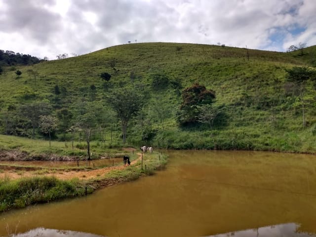 Chácara com 135000m², à venda, no bairro Zona Rural em Piquete