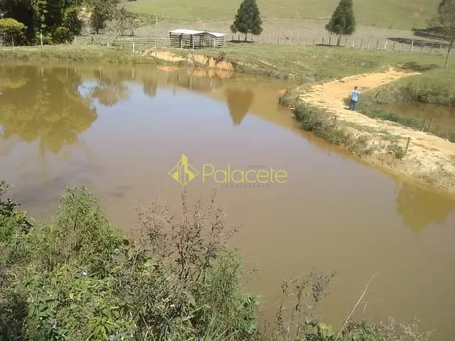 Chácara com 135000m², à venda, no bairro Zona Rural em Piquete