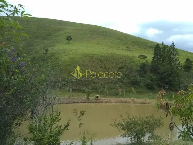 Chácara com 135000m², à venda, no bairro Zona Rural em Piquete