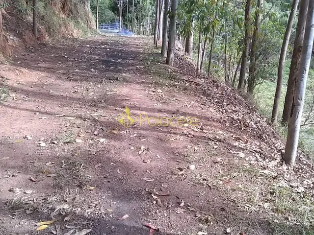 Chácara com 135000m², à venda, no bairro Zona Rural em Piquete