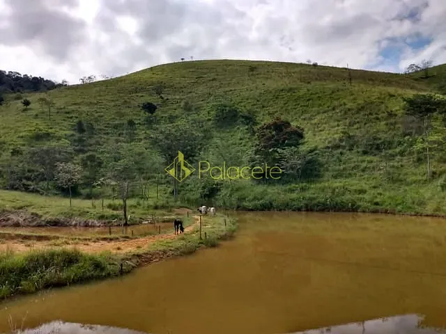 Chácara com 135000m², à venda, no bairro Zona Rural em Piquete
