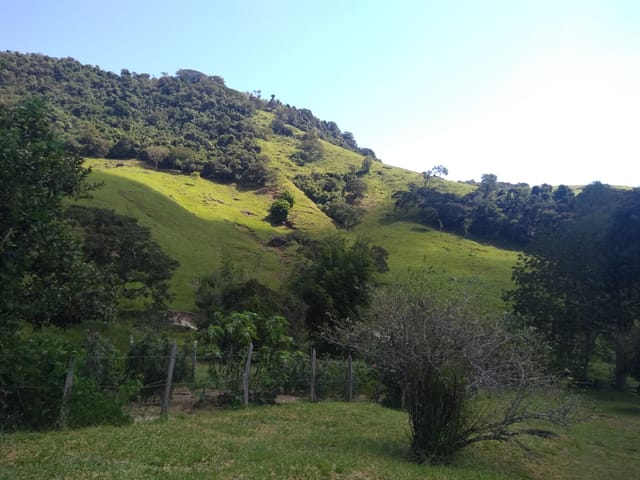 Chácara com 768000m² 2 quartos e 1 banheiro, à venda, no bairro Ribeirão das Almas em Taubaté