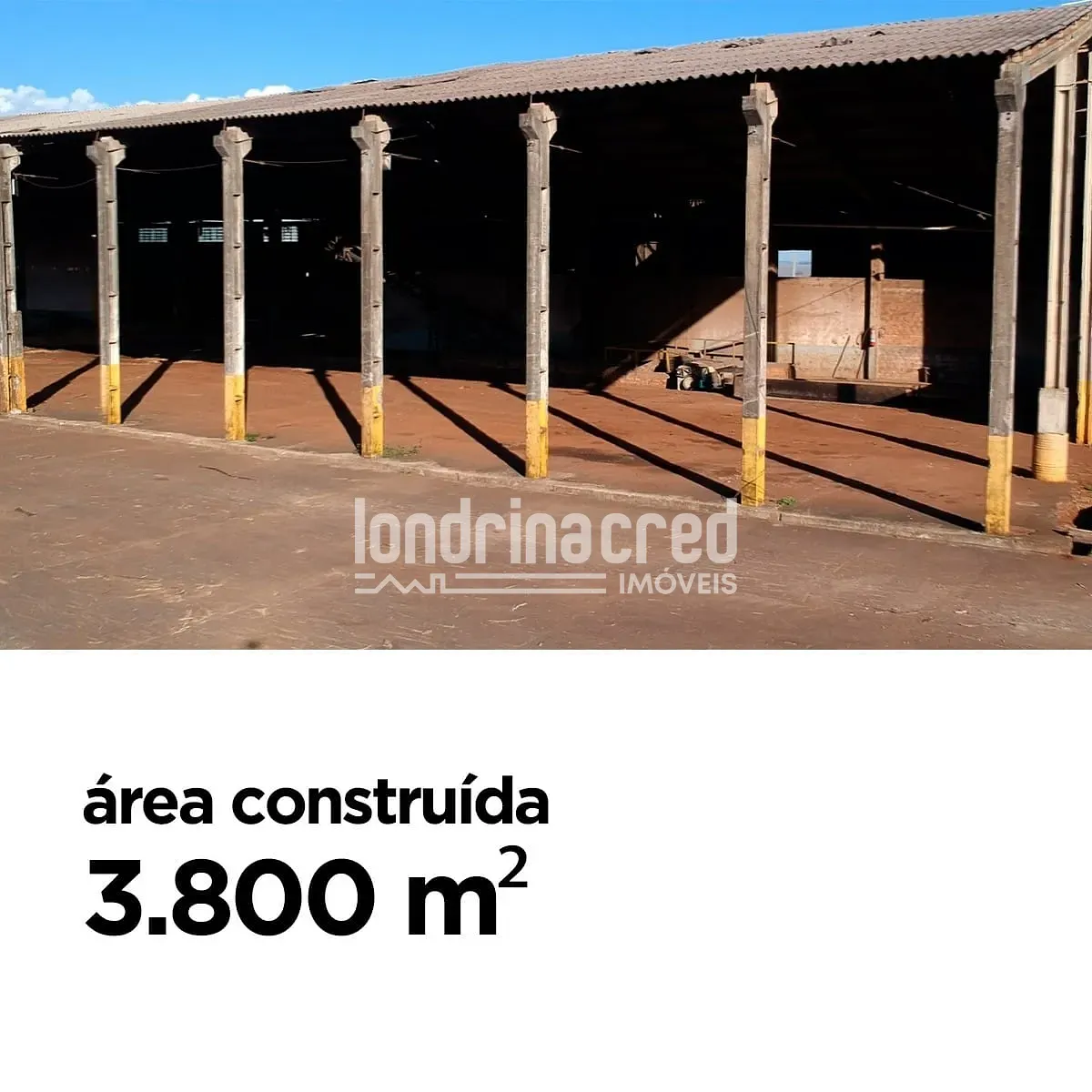Sítio, 1 quarto, 2 hectares - Foto 3