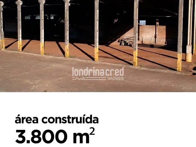 Chácara com 15000m², à venda, no bairro Centro em Rolândia