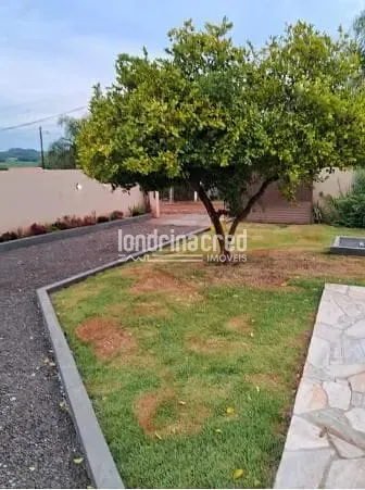 Sítio, 1 quarto, 1000 m² - Foto 3