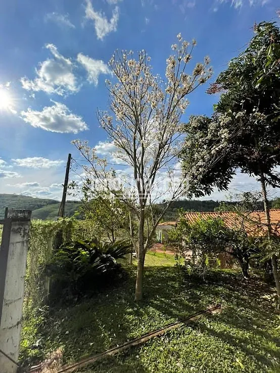 Sítio, 2 quartos, 2000 m² - Foto 15