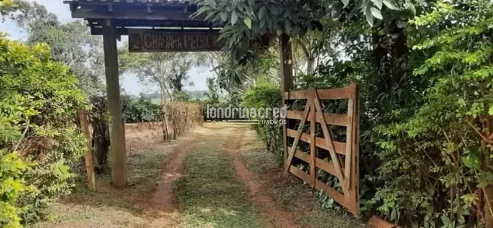 Sítio, 2 quartos, 3 hectares - Foto 10