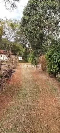 Sítio, 2 quartos, 3 hectares - Foto 12