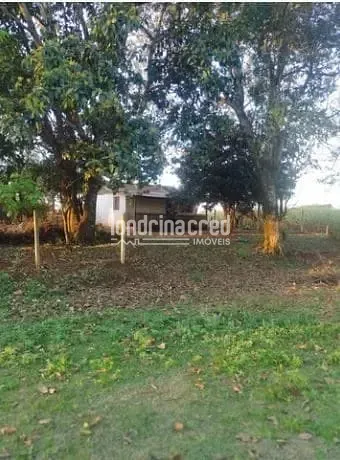 Sítio, 2 quartos, 3 hectares - Foto 13
