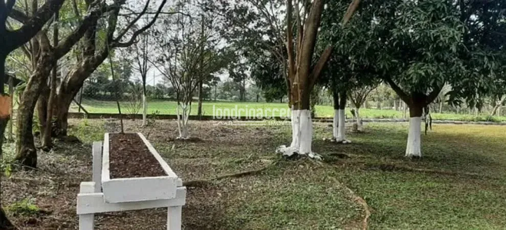 Sítio, 2 quartos, 3 hectares - Foto 14