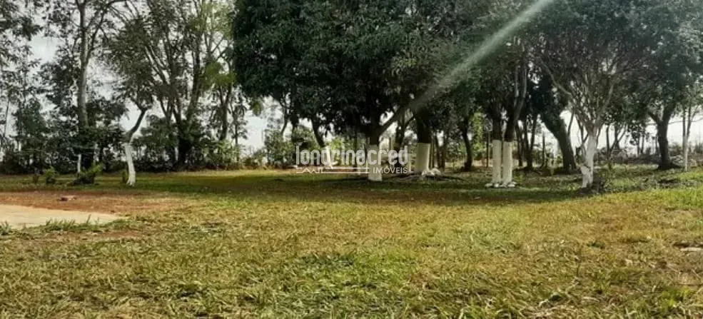 Sítio, 2 quartos, 3 hectares - Foto 15