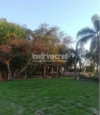 Sítio, 2 quartos, 3 hectares - Foto 19