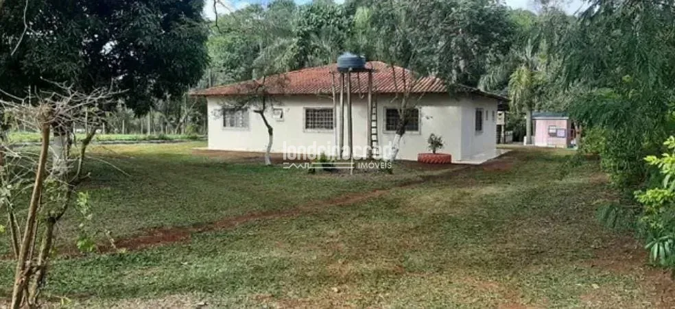 Sítio, 2 quartos, 3 hectares - Foto 2