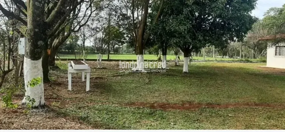 Sítio, 2 quartos, 3 hectares - Foto 3
