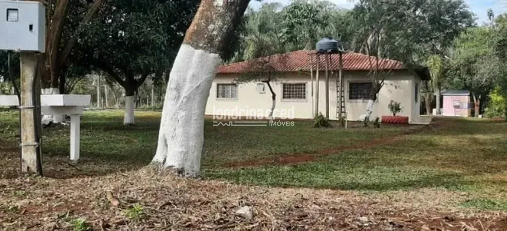 Sítio, 2 quartos, 3 hectares - Foto 8