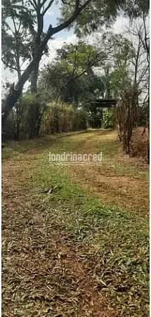 Sítio, 2 quartos, 3 hectares - Foto 9