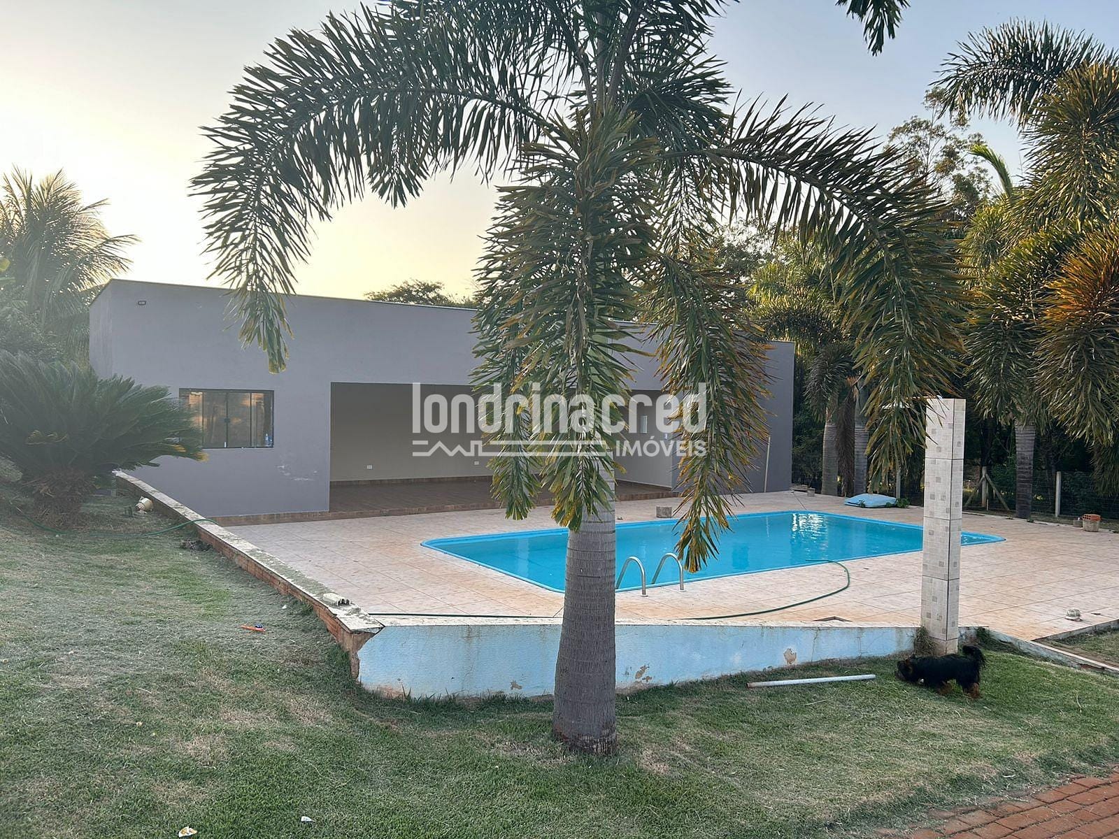 Sítio, 1 quarto, 2100 m² - Foto 19