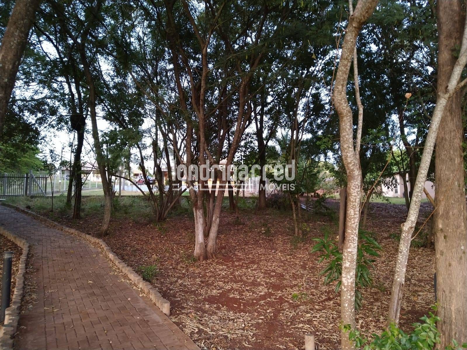 Sítio, 1 quarto, 2100 m² - Foto 6