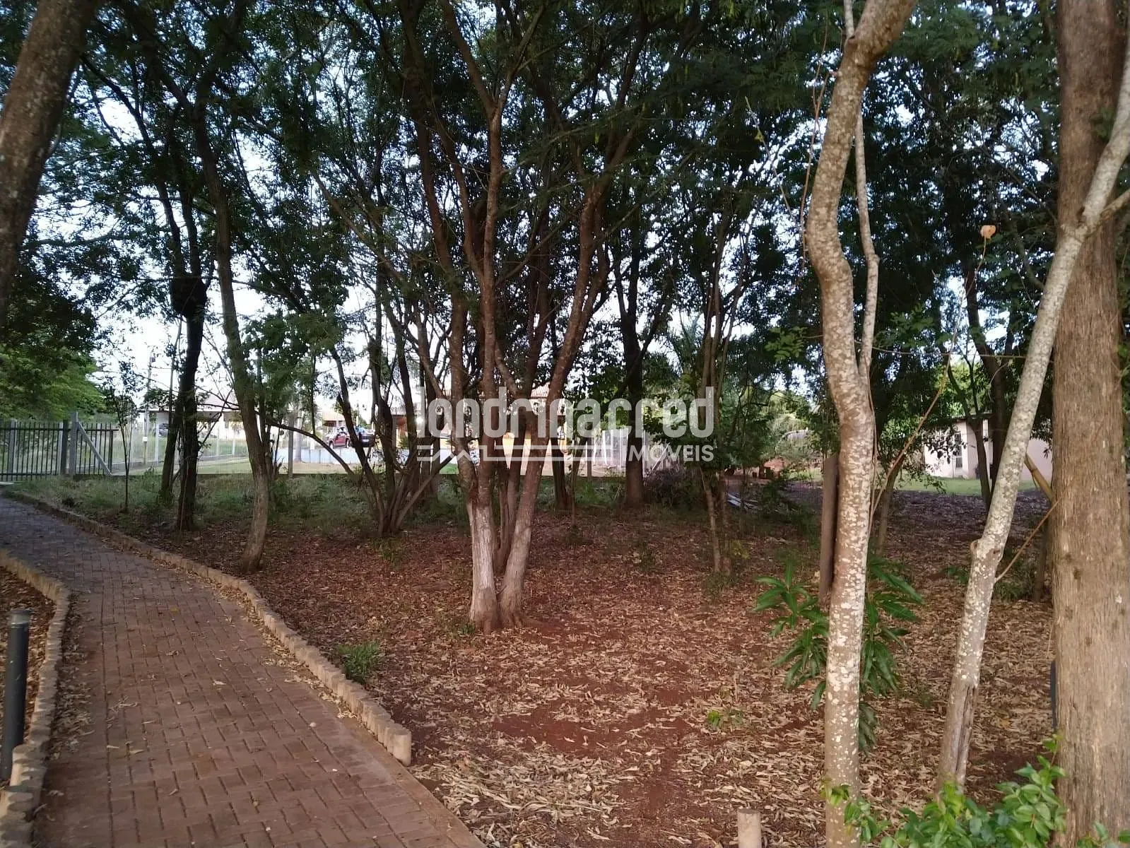 Sítio, 1 quarto, 2100 m² - Foto 6