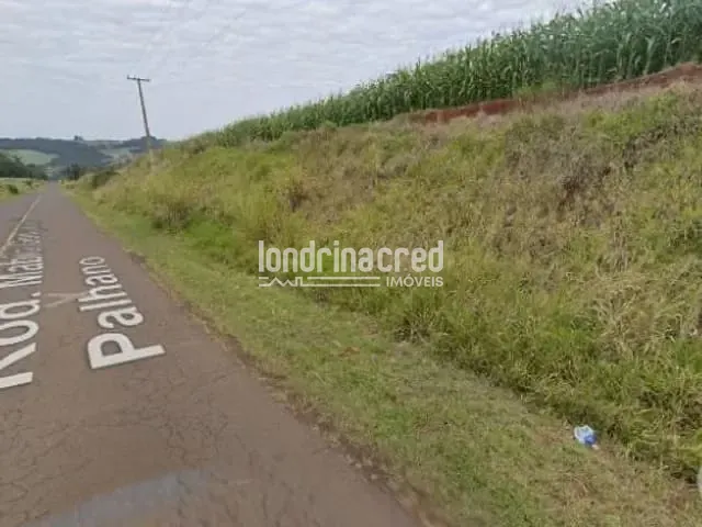 Chácara com 20000m², à venda, no bairro Patrimônio Regina em Londrina