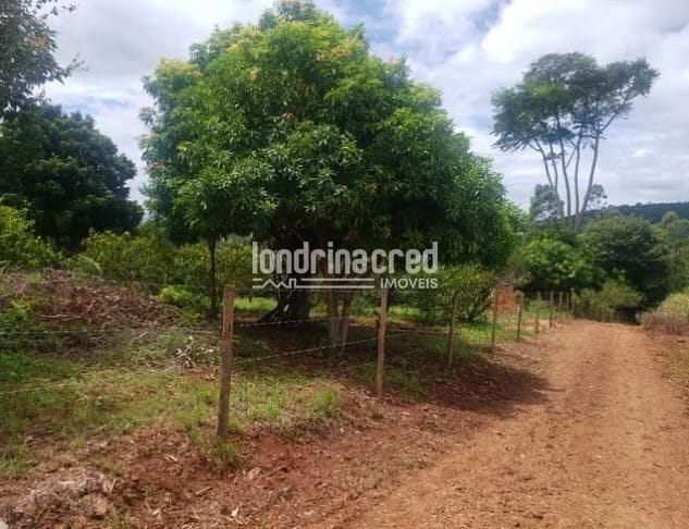 Sítio, 1 quarto, 2 hectares - Foto 2