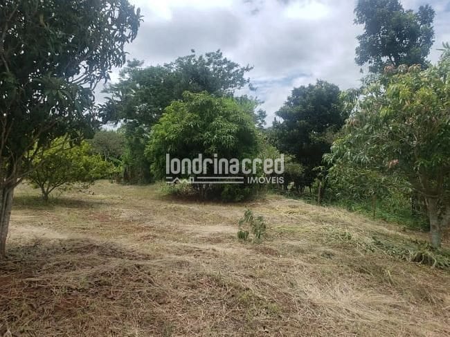 Sítio, 1 quarto, 2 hectares - Foto 4