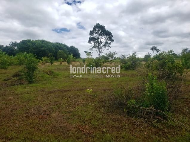 Sítio, 1 quarto, 2 hectares - Foto 5