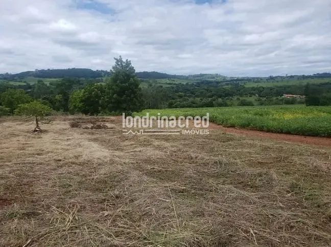 Sítio, 1 quarto, 2 hectares - Foto 3