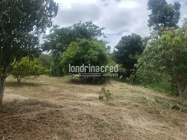 Sítio, 1 quarto, 2 hectares - Foto 4