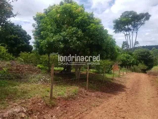 Chácara com 24200m², à venda, no bairro RURAL em Ibiporã