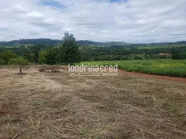 Chácara com 24200m², à venda, no bairro RURAL em Ibiporã