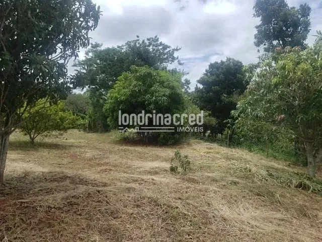 Chácara com 24200m², à venda, no bairro RURAL em Ibiporã