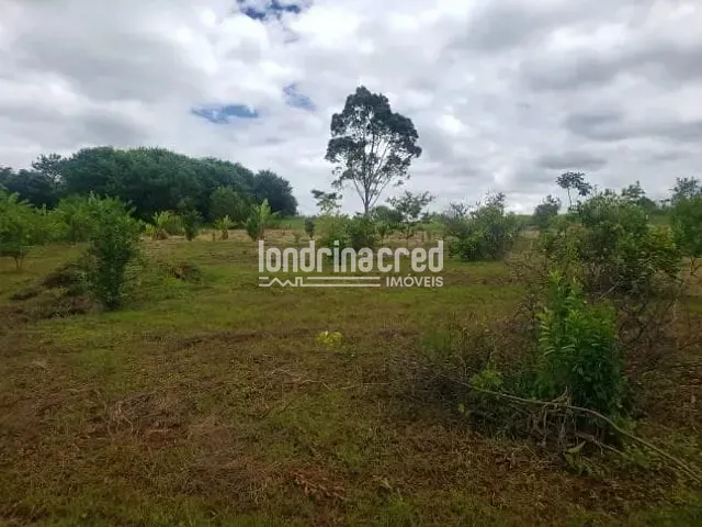 Chácara com 24200m², à venda, no bairro RURAL em Ibiporã