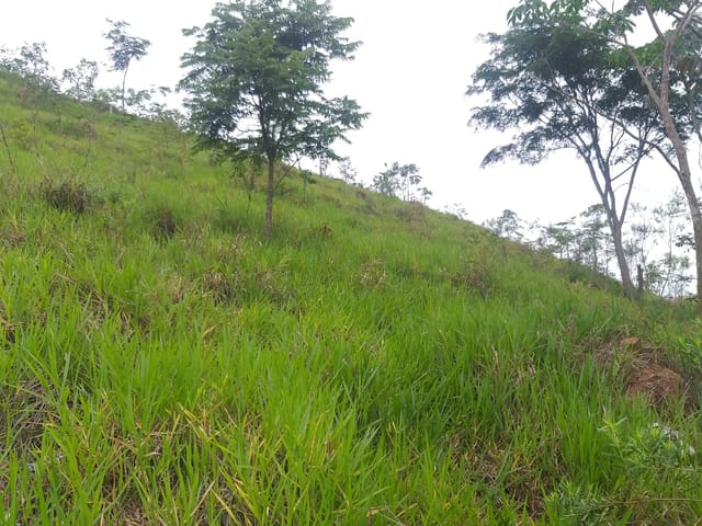 Chácara com 6000m² 2 quartos e 2 banheiros, à venda, no bairro Borba em Pindamonhangaba