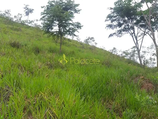 Chácara com 6000m² 2 quartos e 2 banheiros, à venda, no bairro Borba em Pindamonhangaba