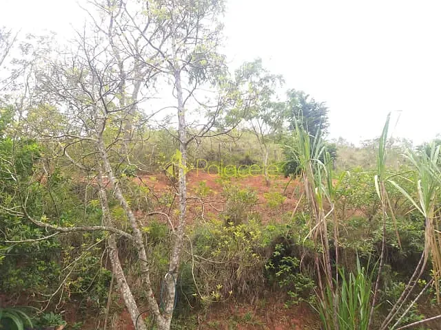 Chácara com 6000m² 2 quartos e 2 banheiros, à venda, no bairro Borba em Pindamonhangaba