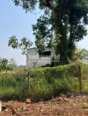 Sítio, 6 quartos, 5000 m² - Foto 7