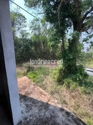 Sítio, 6 quartos, 5000 m² - Foto 2
