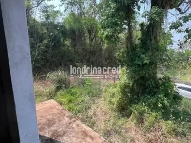 Chácara com 5000m² 6 quartos e 6 banheiros, à venda, no bairro Rural em Londrina