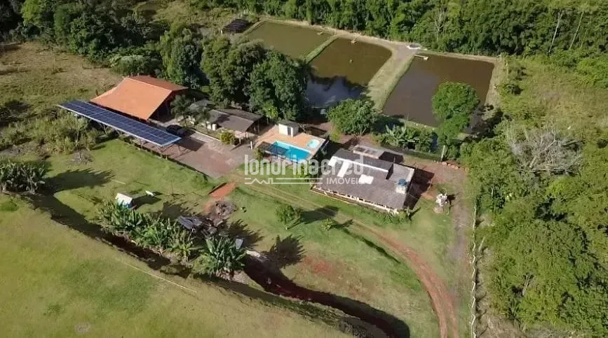 Sítio, 3 quartos, 2 hectares - Foto 1