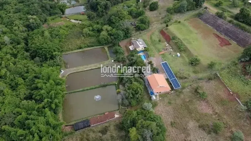 Sítio, 3 quartos, 2 hectares - Foto 11