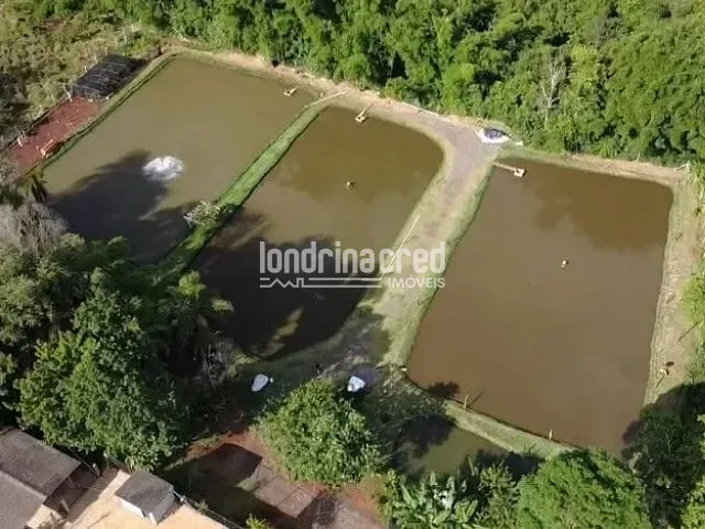 Chácara com 15000m² 3 quartos e 1 banheiro, à venda, no bairro Recanto Rancho Ringo em Cambé