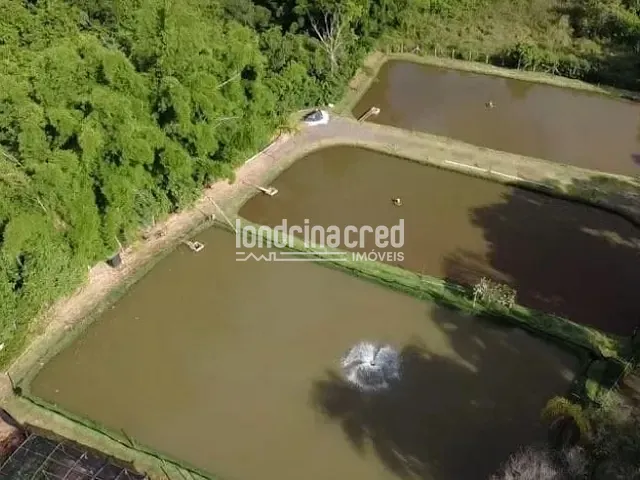 Chácara com 15000m² 3 quartos e 1 banheiro, à venda, no bairro Recanto Rancho Ringo em Cambé