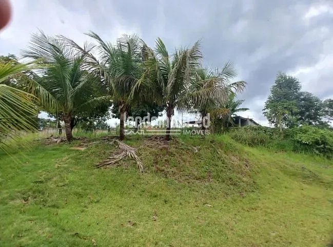 Sítio, 1 quarto, 1000 m² - Foto 2